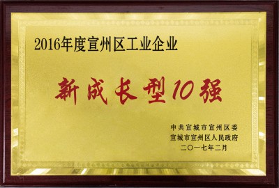 宣州區工業(yè)企業(yè)新成長(cháng)10強