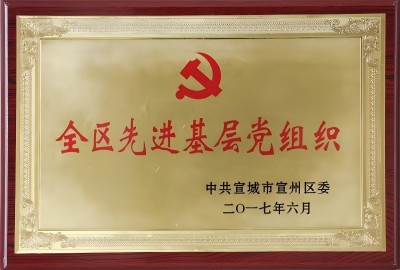 全區先進(jìn)基層黨組織